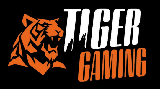 Tiger Gaming Santiago salón recreativo Compostela