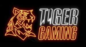 Tiger Gaming Santiago